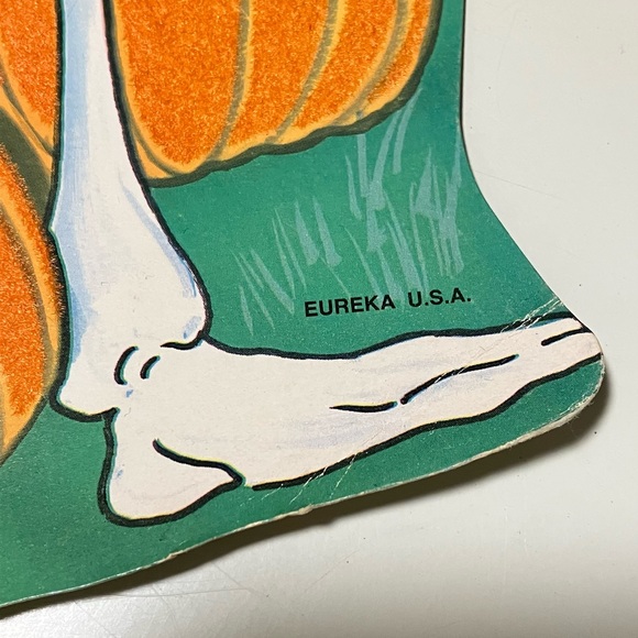 Vintage Eureka Halloween Skeleton Pumpkin Flocked Fuzzy Double Sided Die Cut - Picture 5 of 13